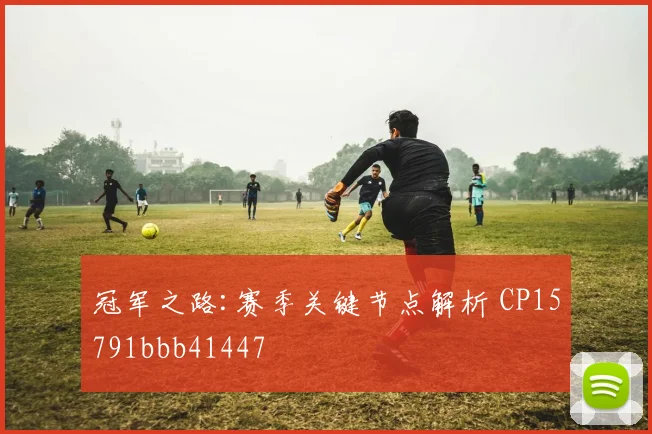 冠军之路:赛季关键节点解析 CP15791bbb41447